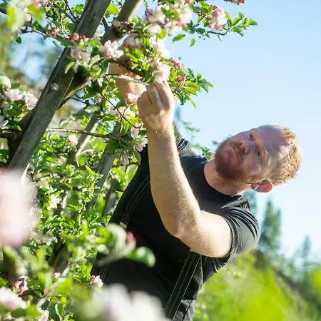 Appartement Central Stay Odda