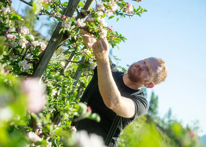 Appartement Central Stay Odda